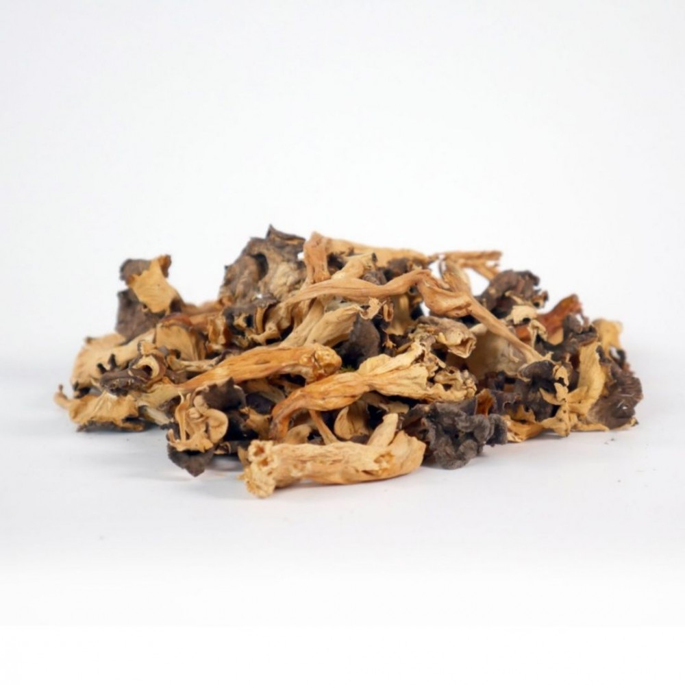 CHANTERELLES À TUBES SÉCHÉES