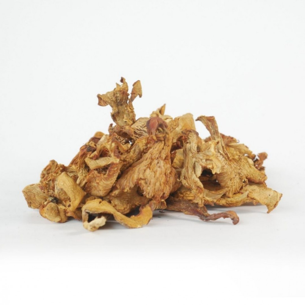 GIROLLES SÉCHÉES