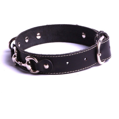 Collier chien personnalisé prénom Collier chien chasse 