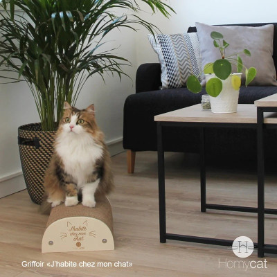 GRIFFOIR - J'HABITE CHEZ MON CHAT